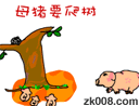 母豬上樹